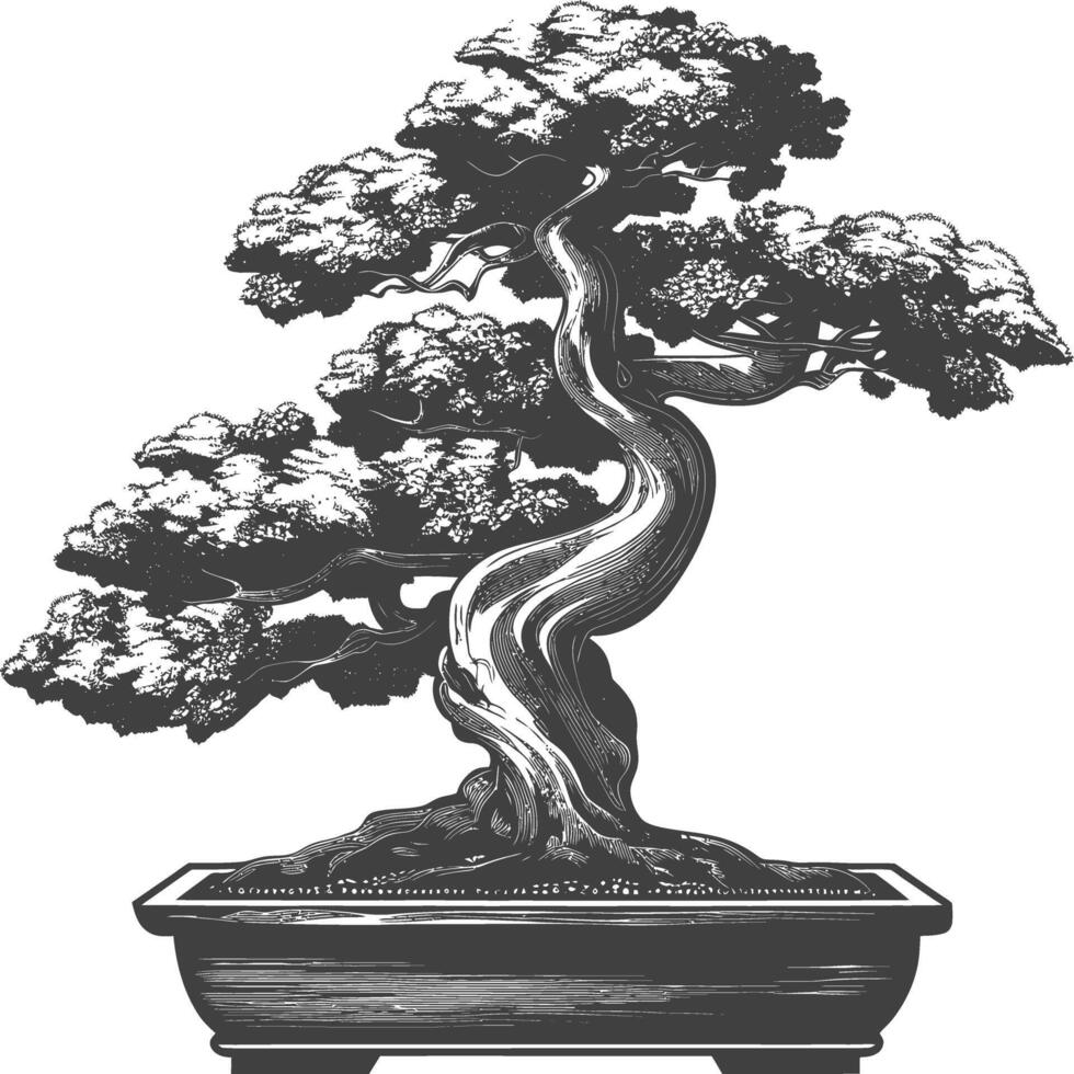 bonsai tree images using Old engraving style body black color only vector