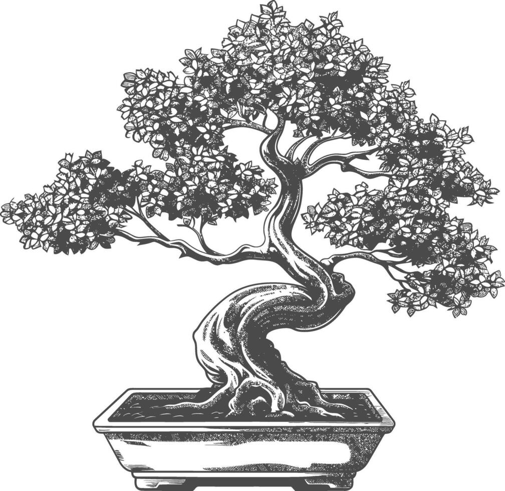 bonsai tree images using Old engraving style body black color only vector