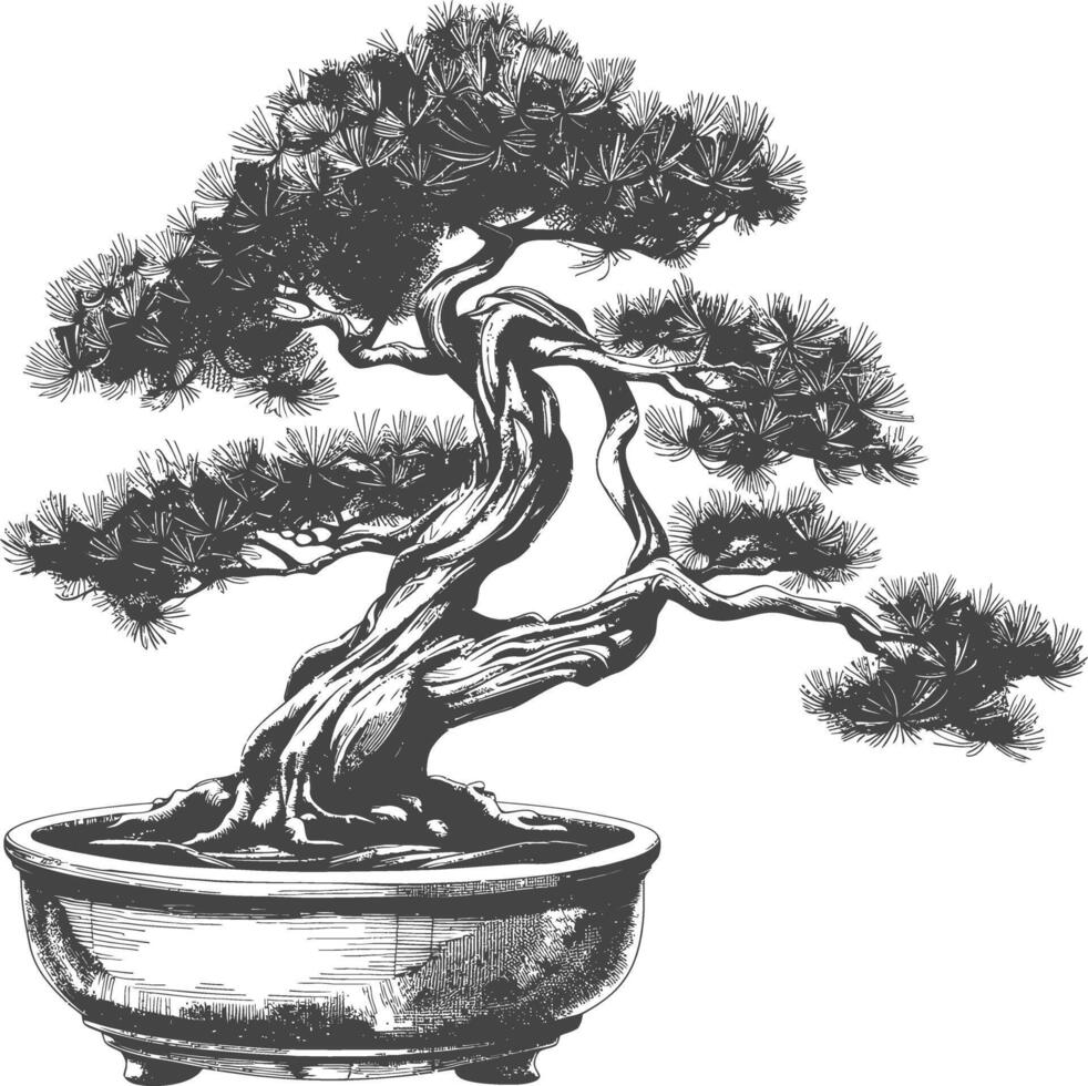 bonsai tree images using Old engraving style body black color only vector