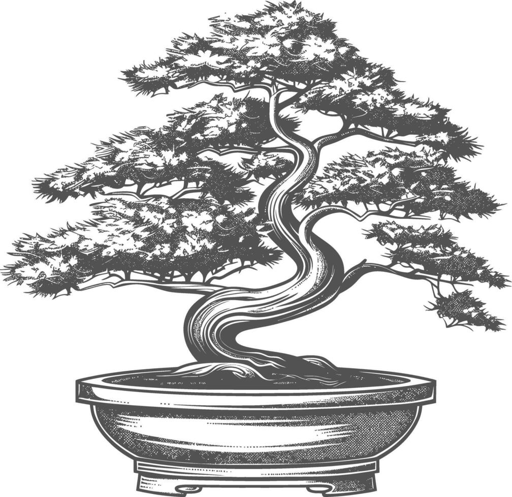 bonsai tree images using Old engraving style body black color only vector