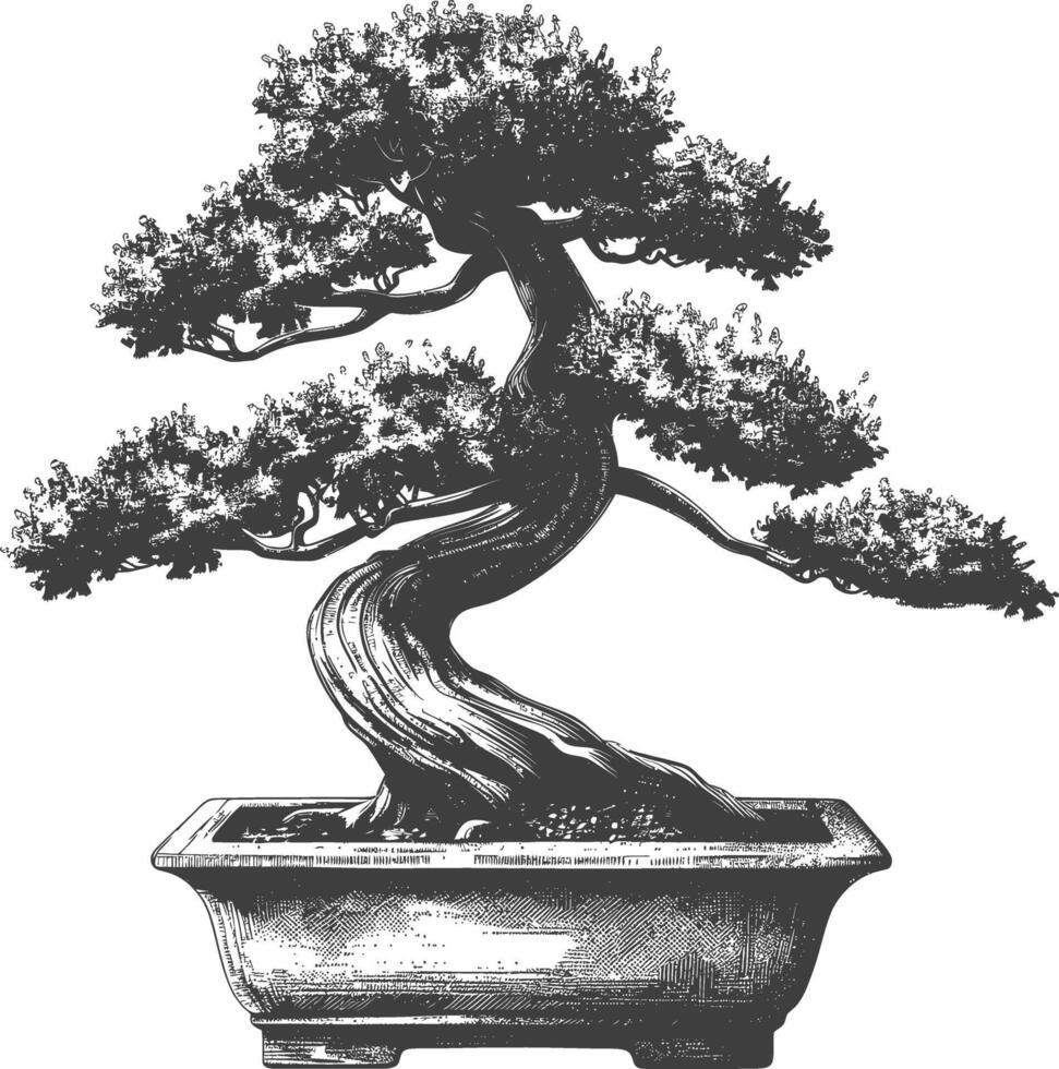 bonsai tree images using Old engraving style body black color only vector