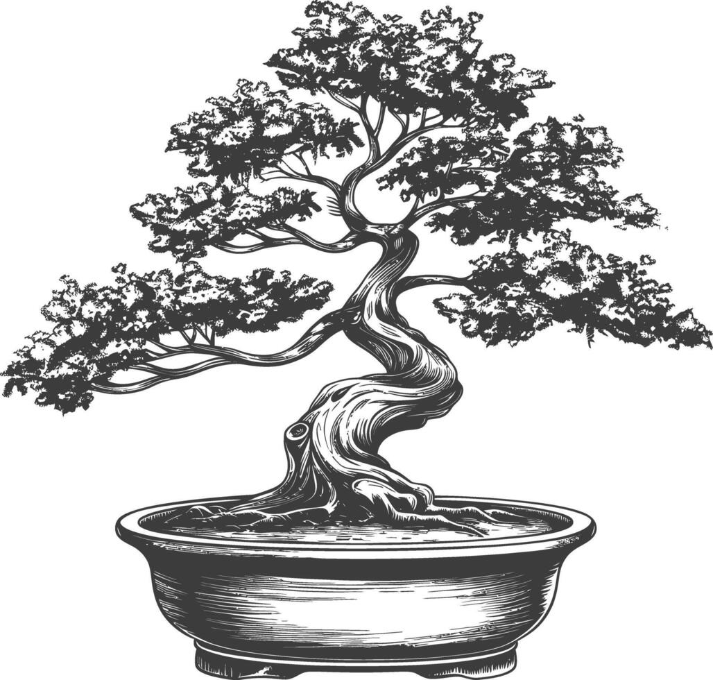 bonsai tree images using Old engraving style body black color only vector