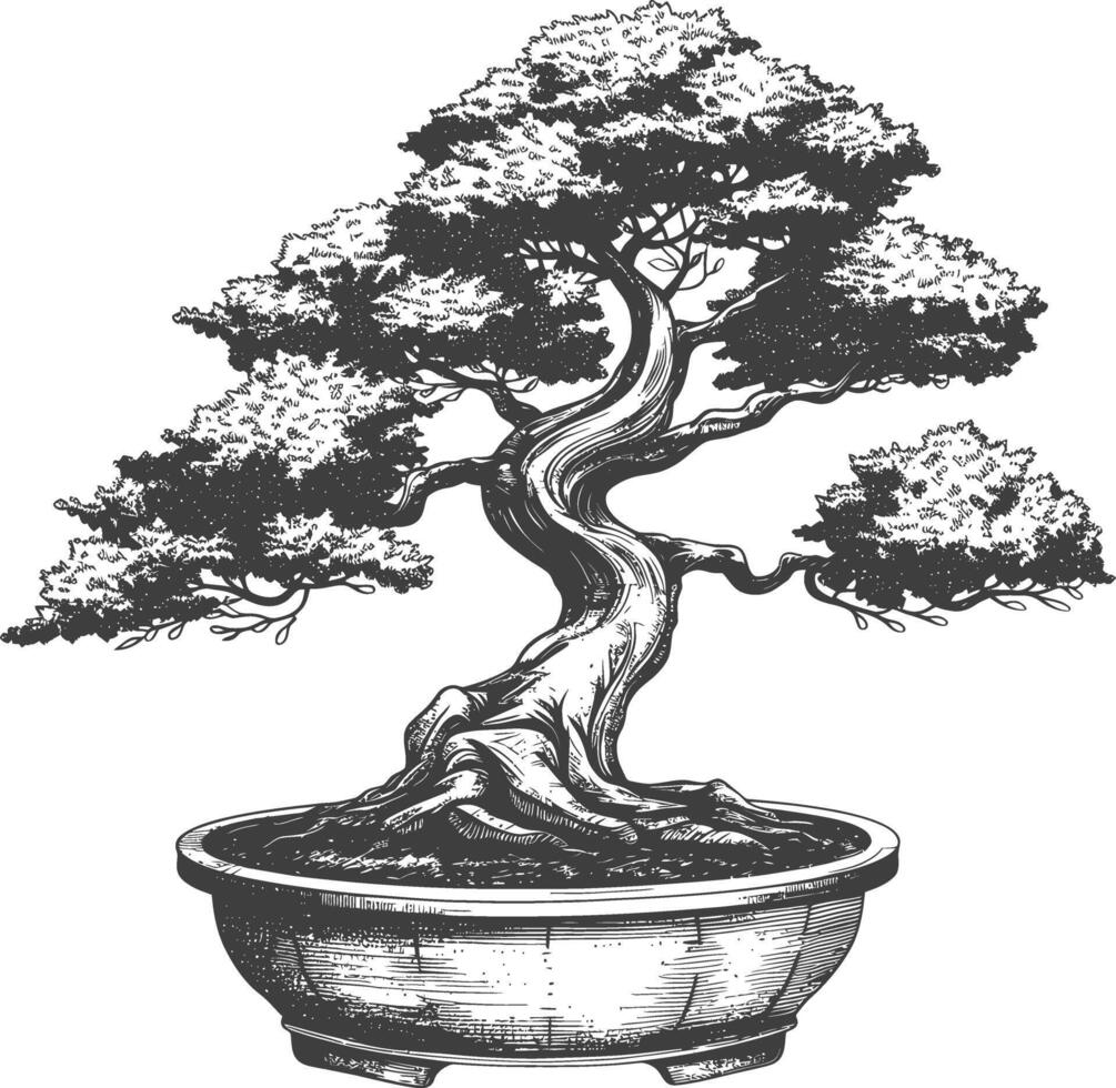 bonsai tree images using Old engraving style body black color only vector