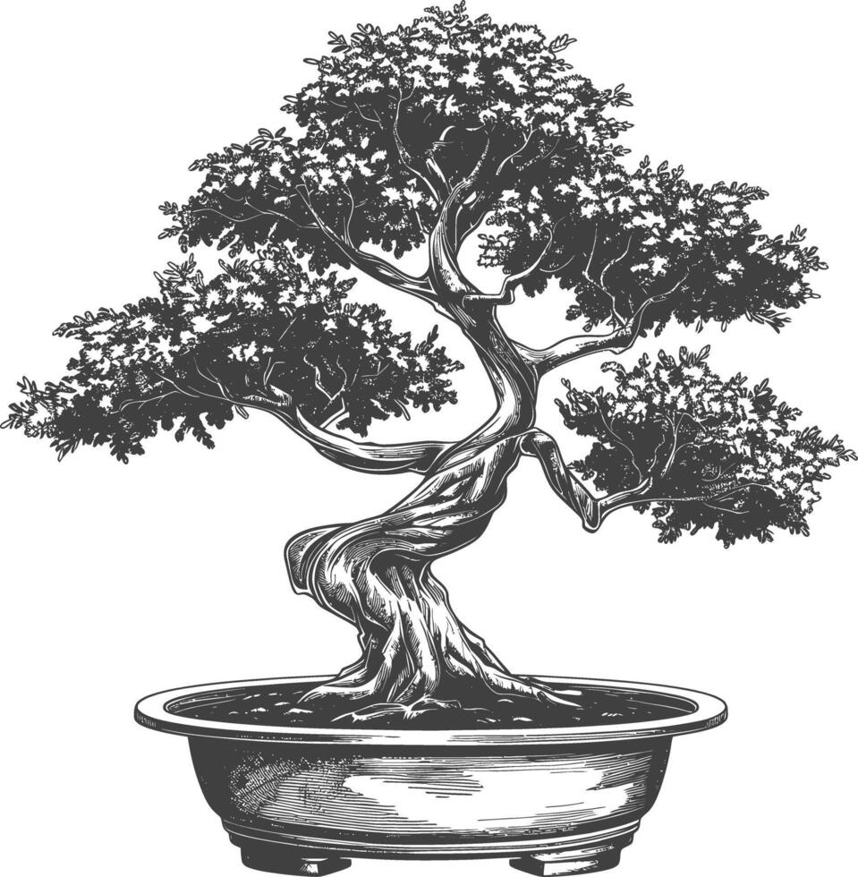 bonsai tree images using Old engraving style body black color only vector