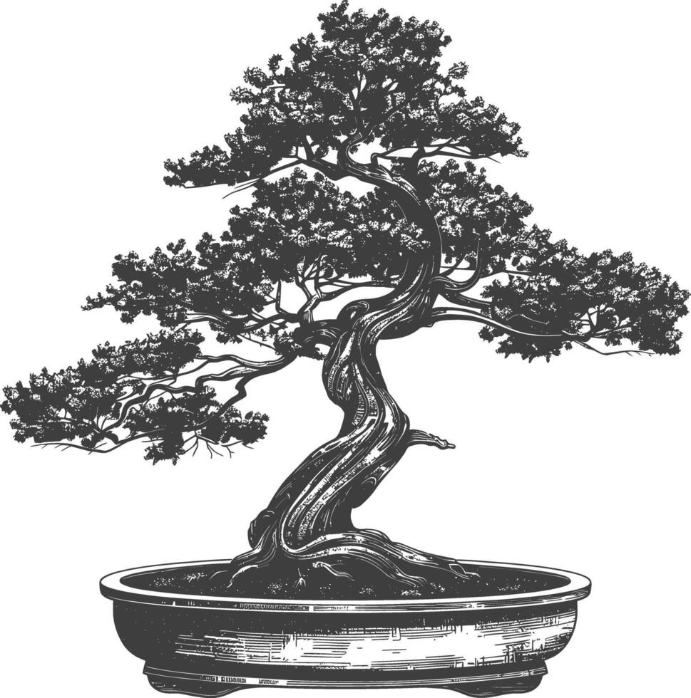 bonsai tree images using Old engraving style body black color only vector