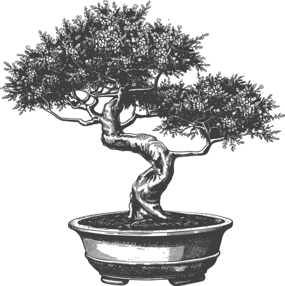 bonsai tree images using Old engraving style body black color only vector