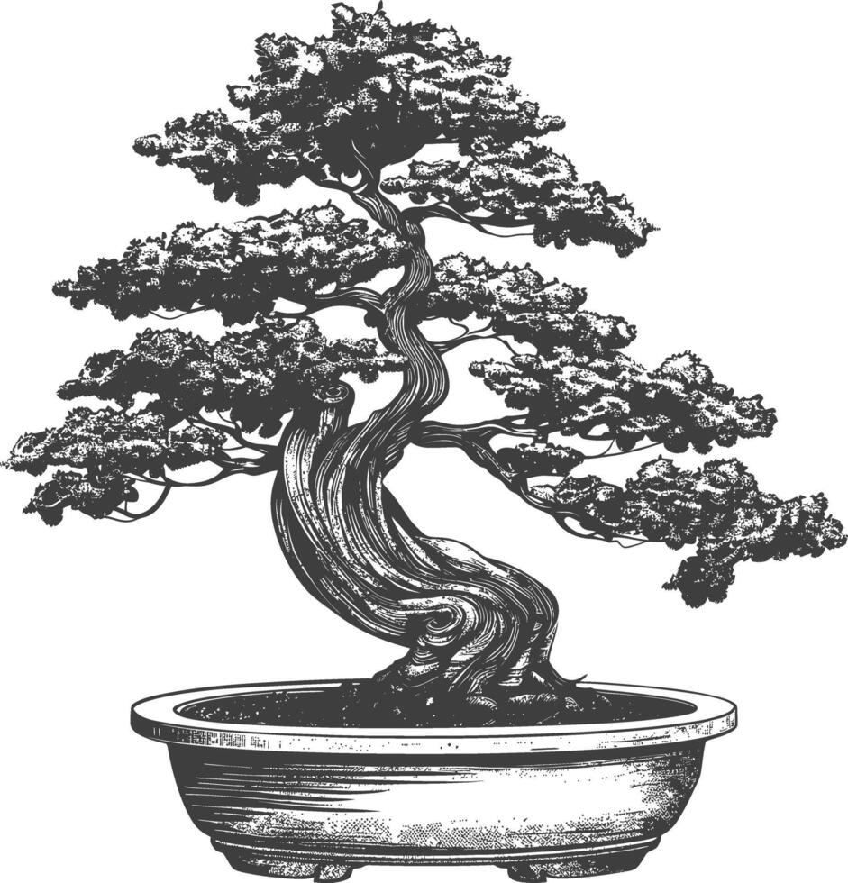 bonsai tree images using Old engraving style body black color only vector