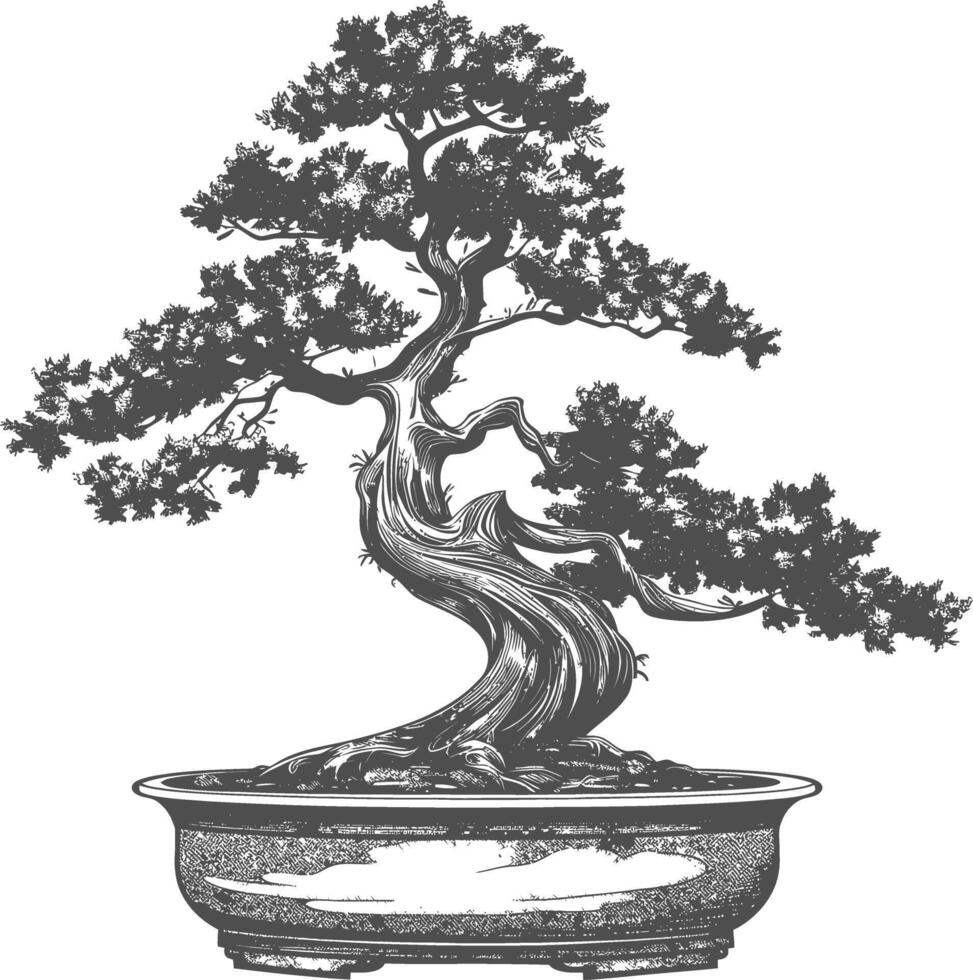 bonsai árbol imágenes utilizando antiguo grabado estilo cuerpo negro color solamente vector