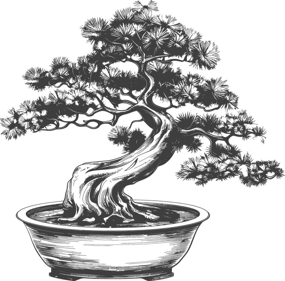 bonsai tree images using Old engraving style body black color only vector