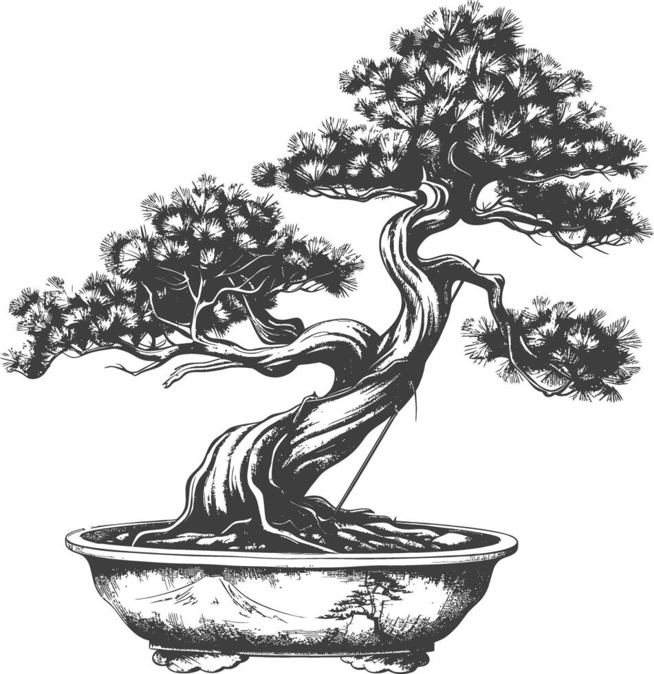 bonsai tree images using Old engraving style body black color only vector