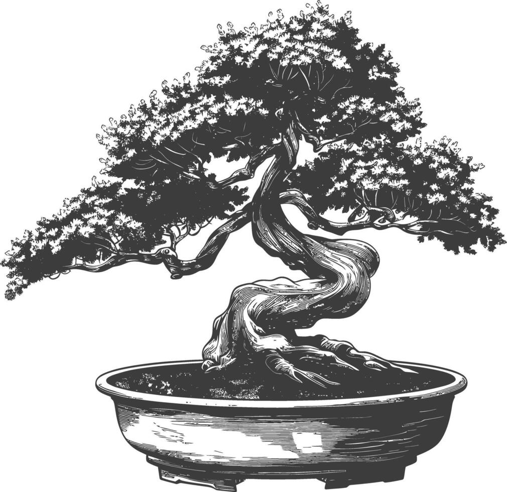 bonsai tree images using Old engraving style body black color only vector