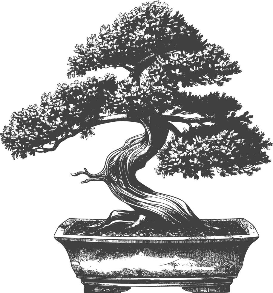 bonsai tree images using Old engraving style body black color only vector