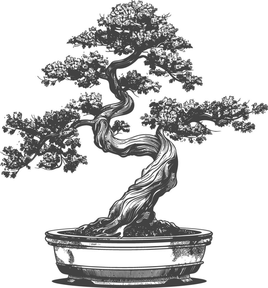bonsai tree images using Old engraving style body black color only vector