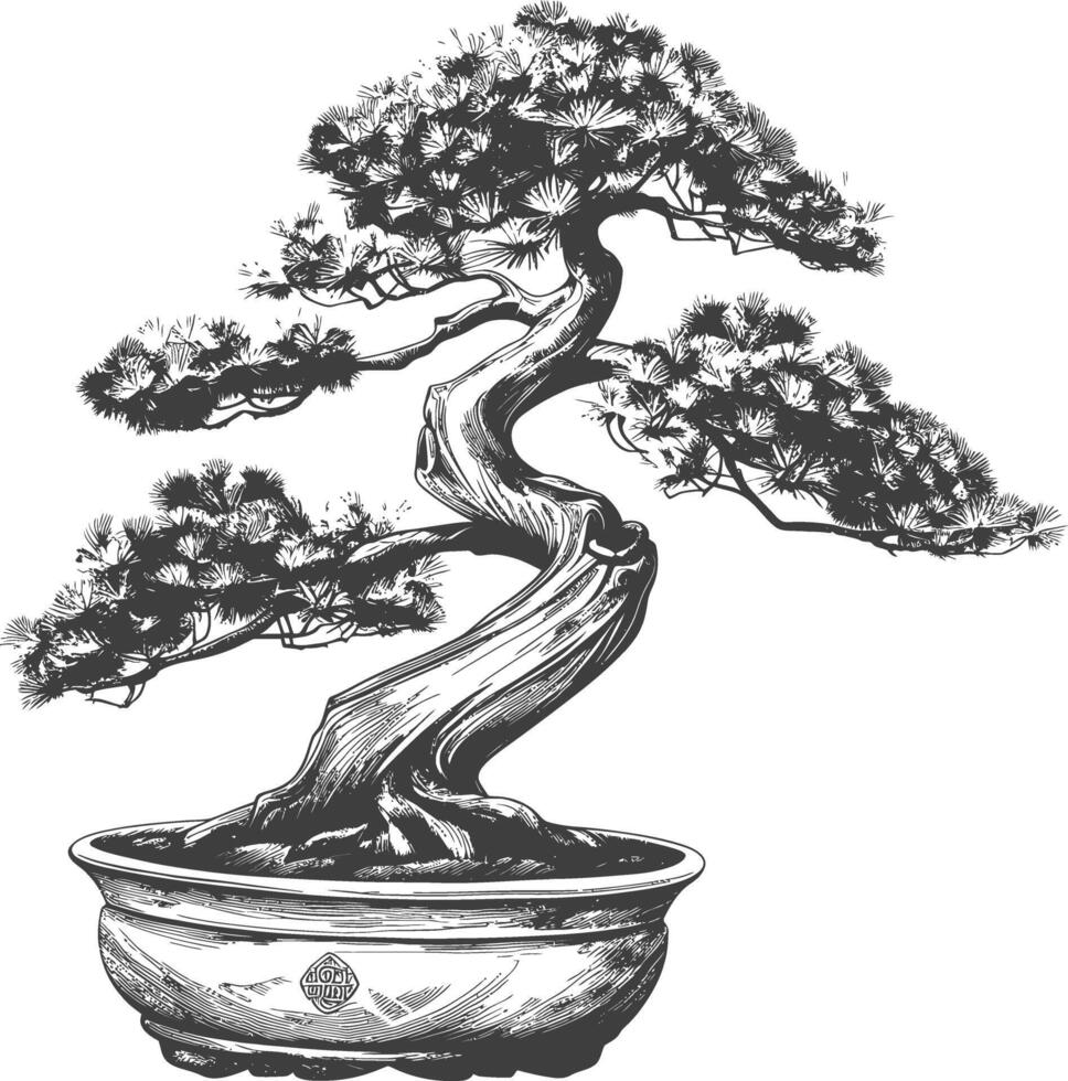 bonsai tree images using Old engraving style body black color only vector