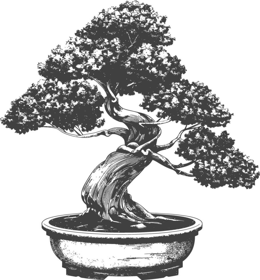 bonsai tree images using Old engraving style body black color only vector