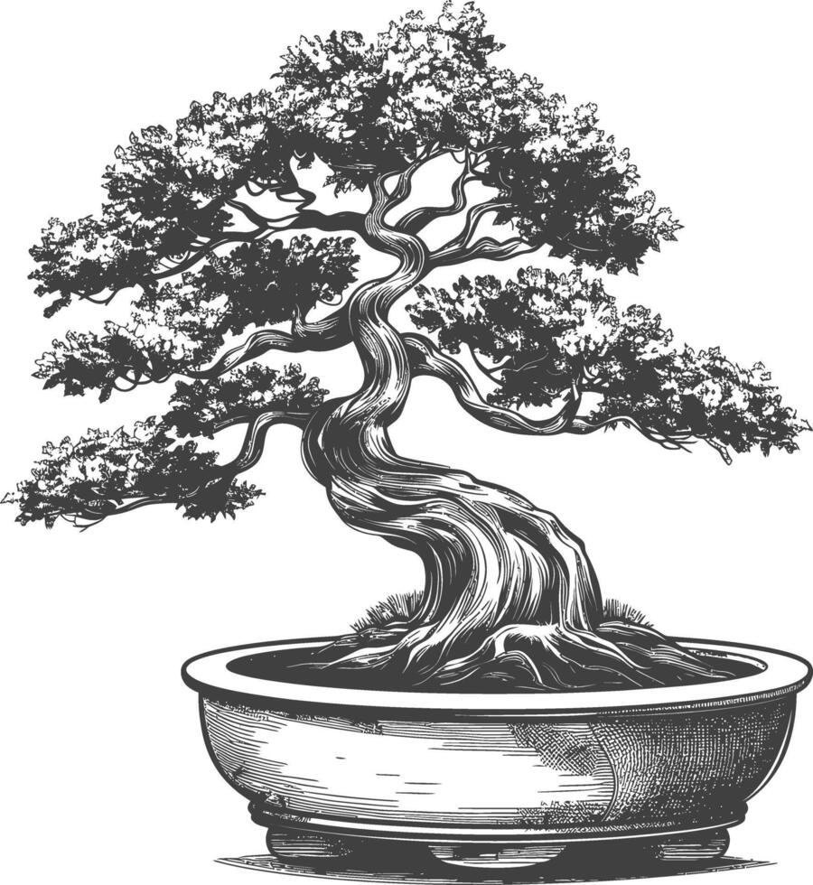bonsai tree images using Old engraving style body black color only vector