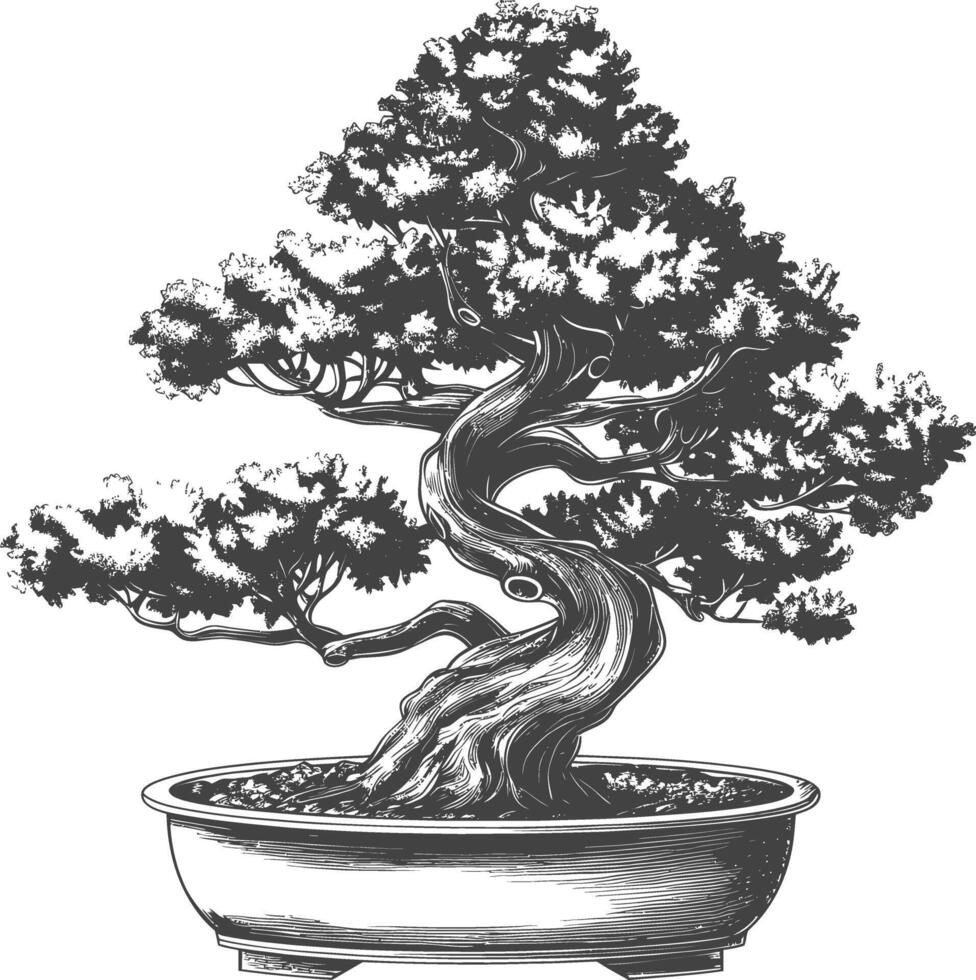 bonsai tree images using Old engraving style body black color only vector