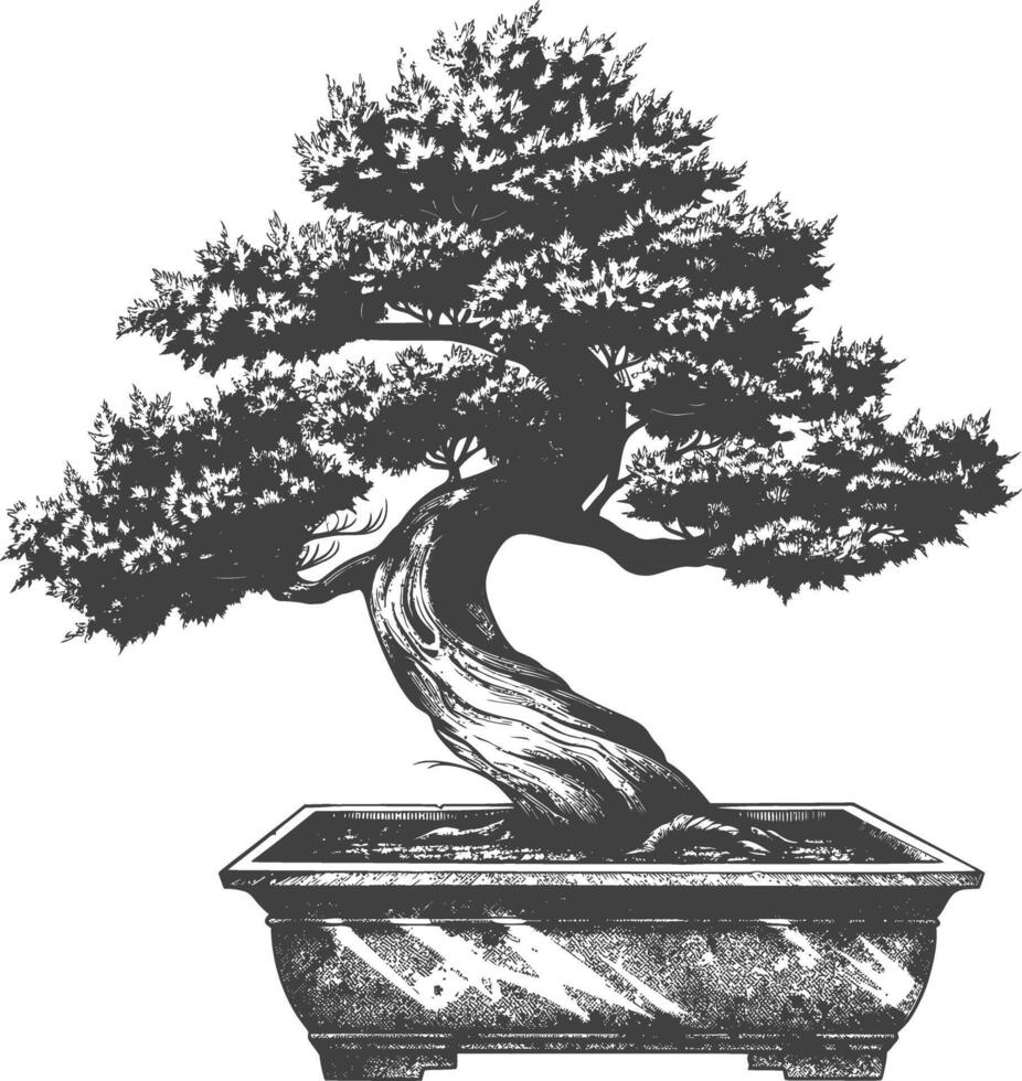 bonsai tree images using Old engraving style body black color only vector