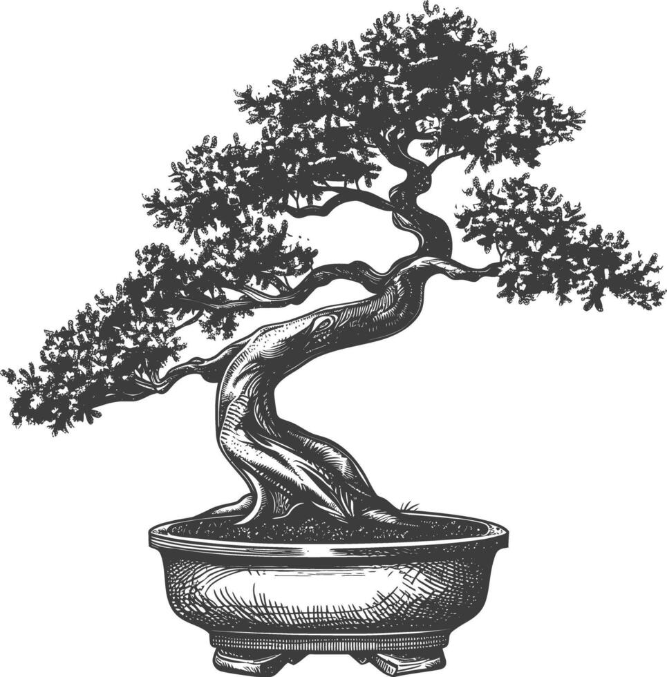 bonsai tree images using Old engraving style body black color only vector