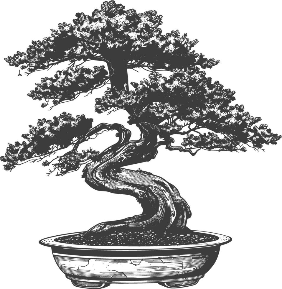 bonsai tree images using Old engraving style body black color only vector