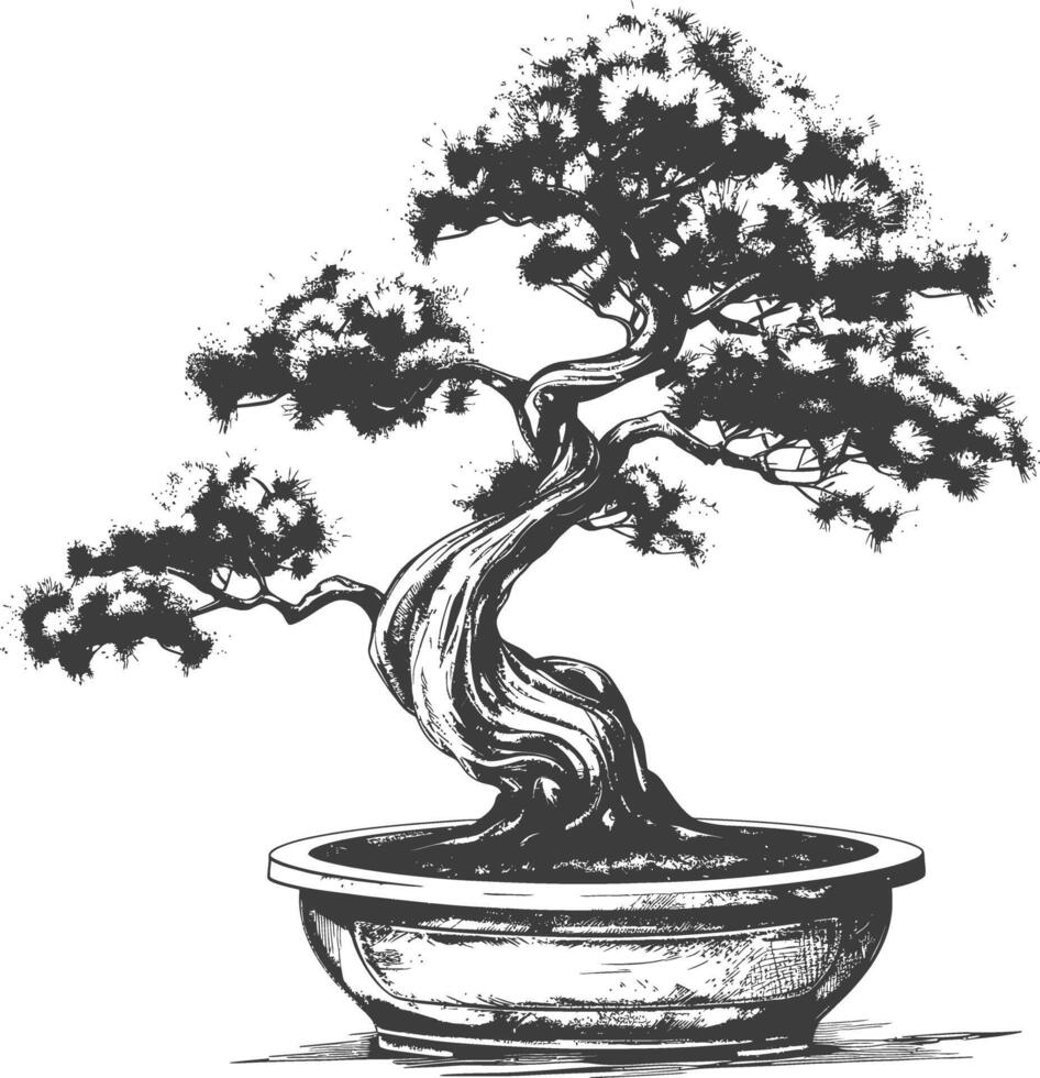 bonsai tree images using Old engraving style body black color only vector