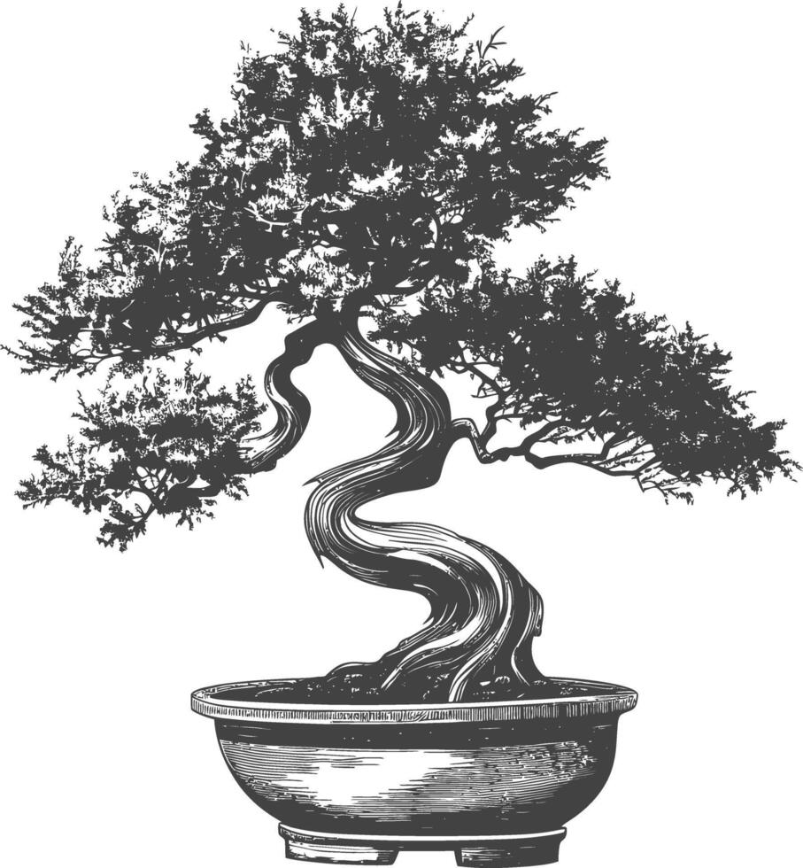 bonsai tree images using Old engraving style body black color only vector