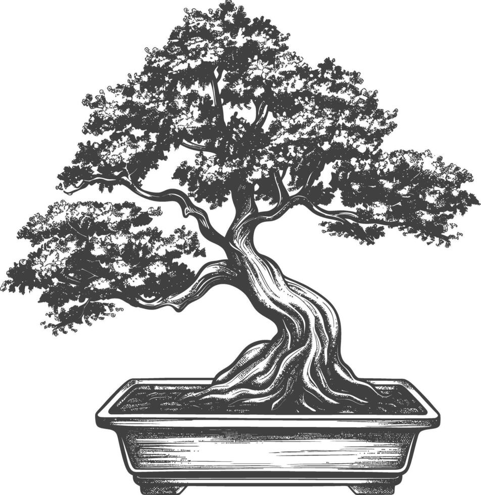 bonsai tree images using Old engraving style body black color only vector