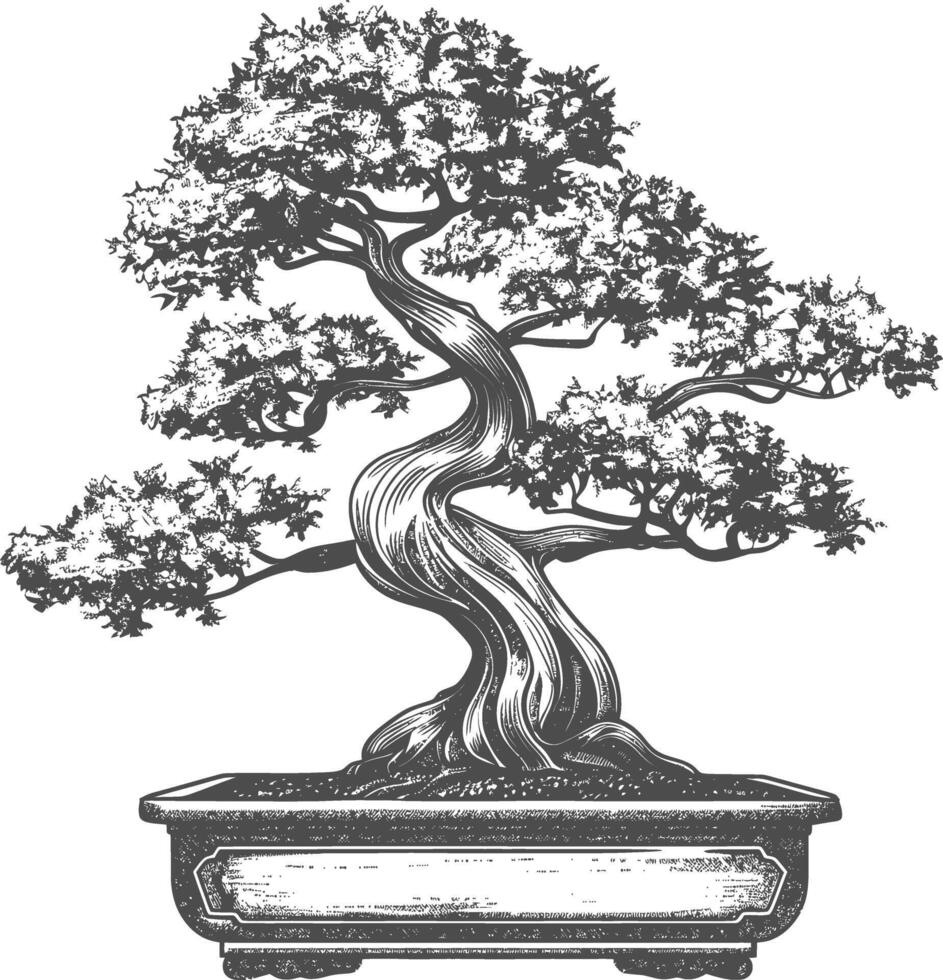 bonsai tree images using Old engraving style body black color only vector