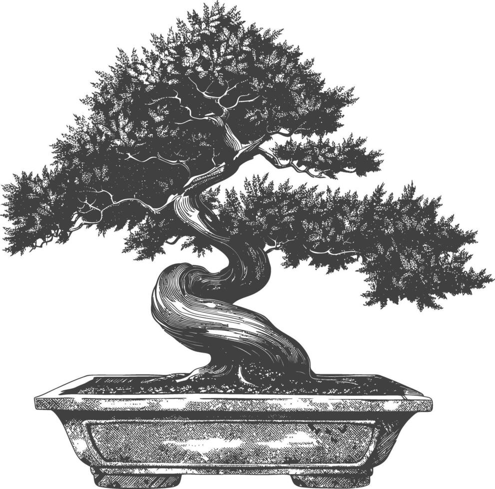 bonsai tree images using Old engraving style body black color only vector