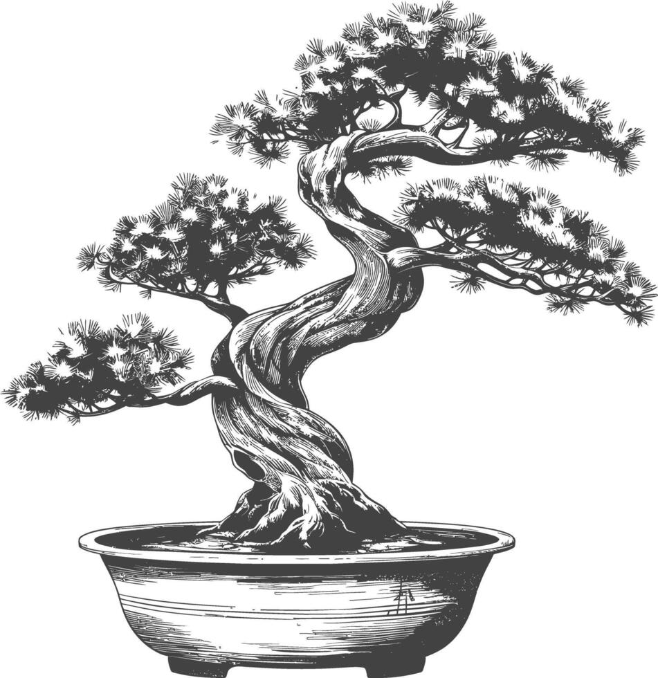 bonsai tree images using Old engraving style body black color only vector