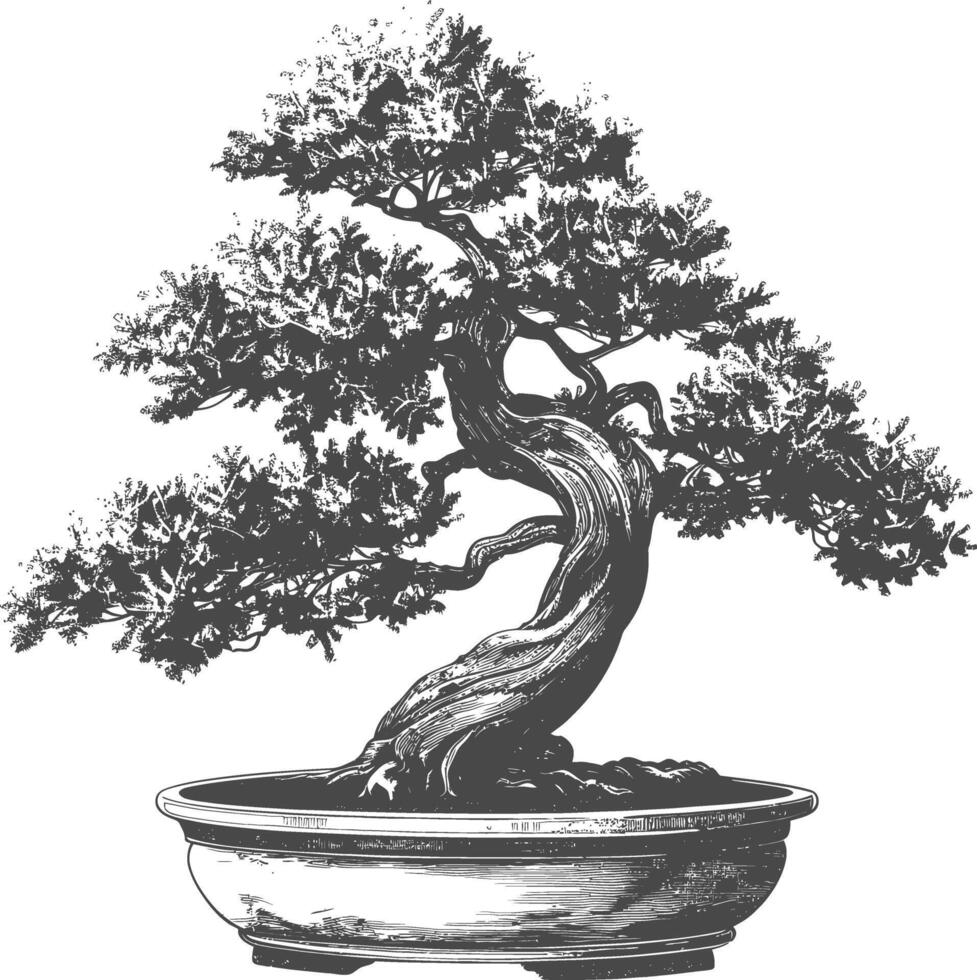 bonsai tree images using Old engraving style body black color only vector