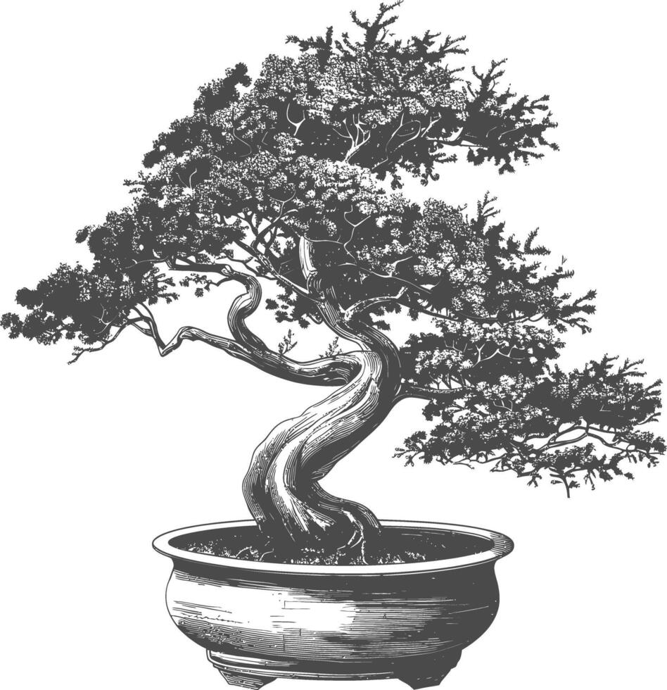 bonsai tree images using Old engraving style body black color only vector