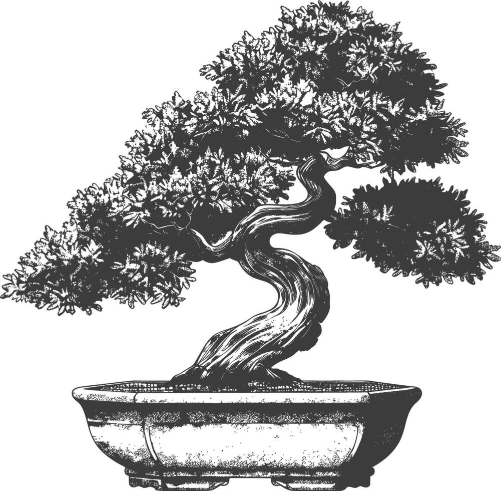 bonsai tree images using Old engraving style body black color only vector