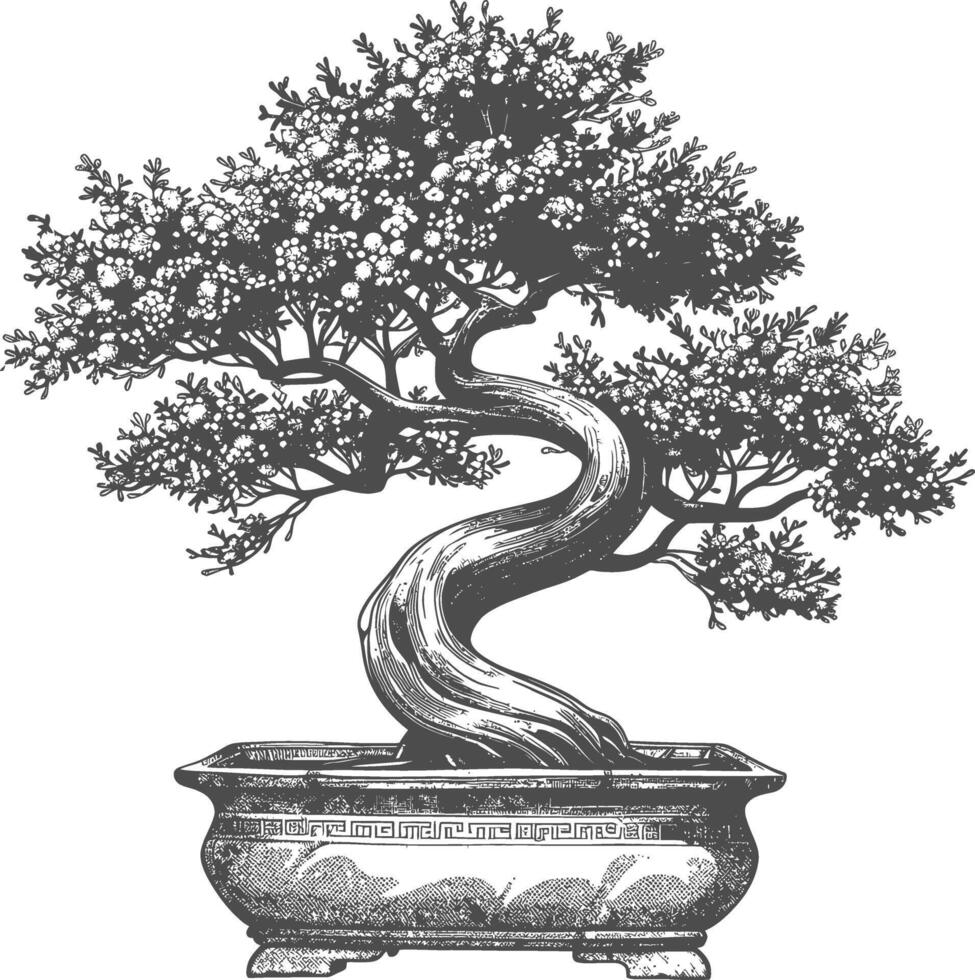 bonsai tree images using Old engraving style body black color only vector