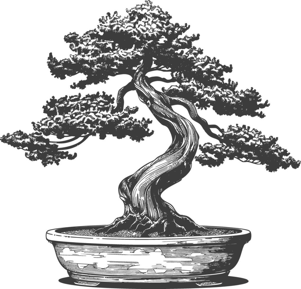 bonsai tree images using Old engraving style body black color only vector