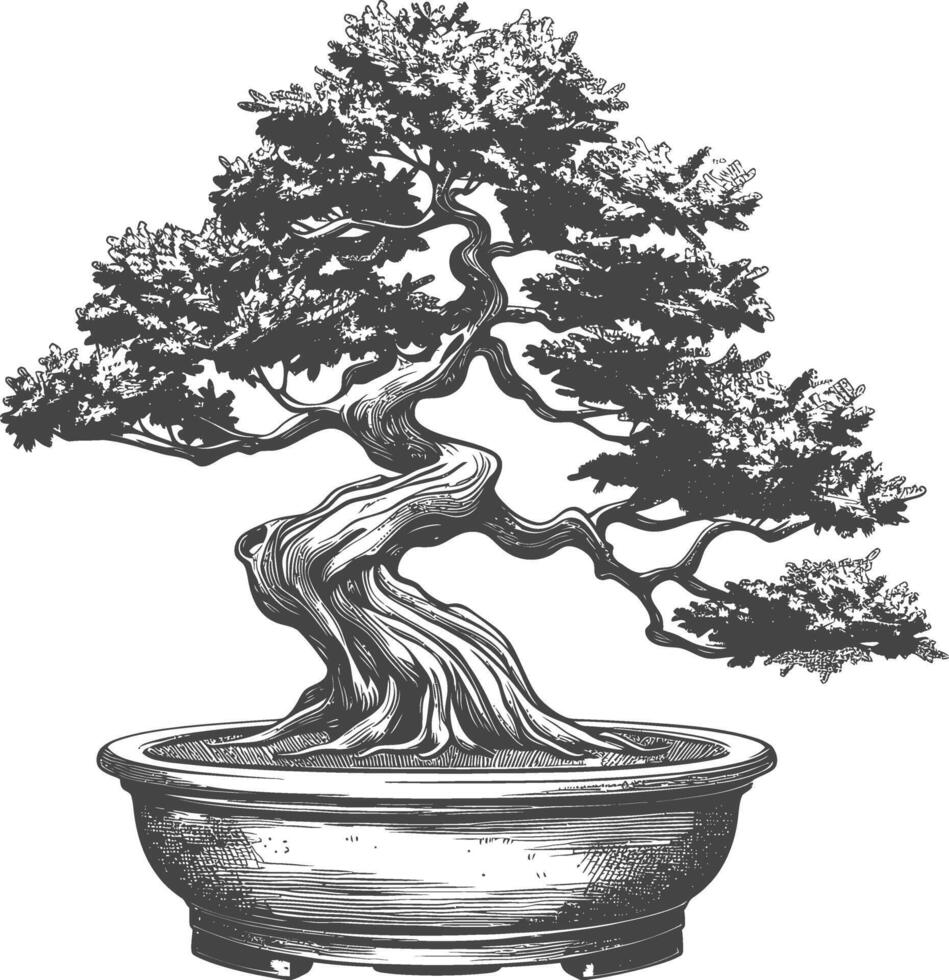 bonsai tree images using Old engraving style body black color only vector