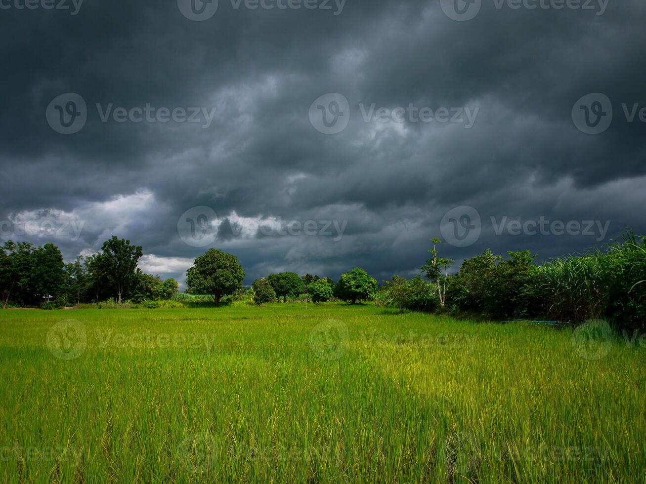 the sky a thunder-storm photo