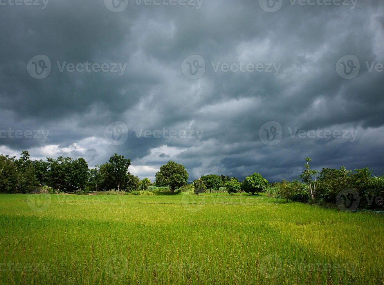 the sky a thunder-storm photo