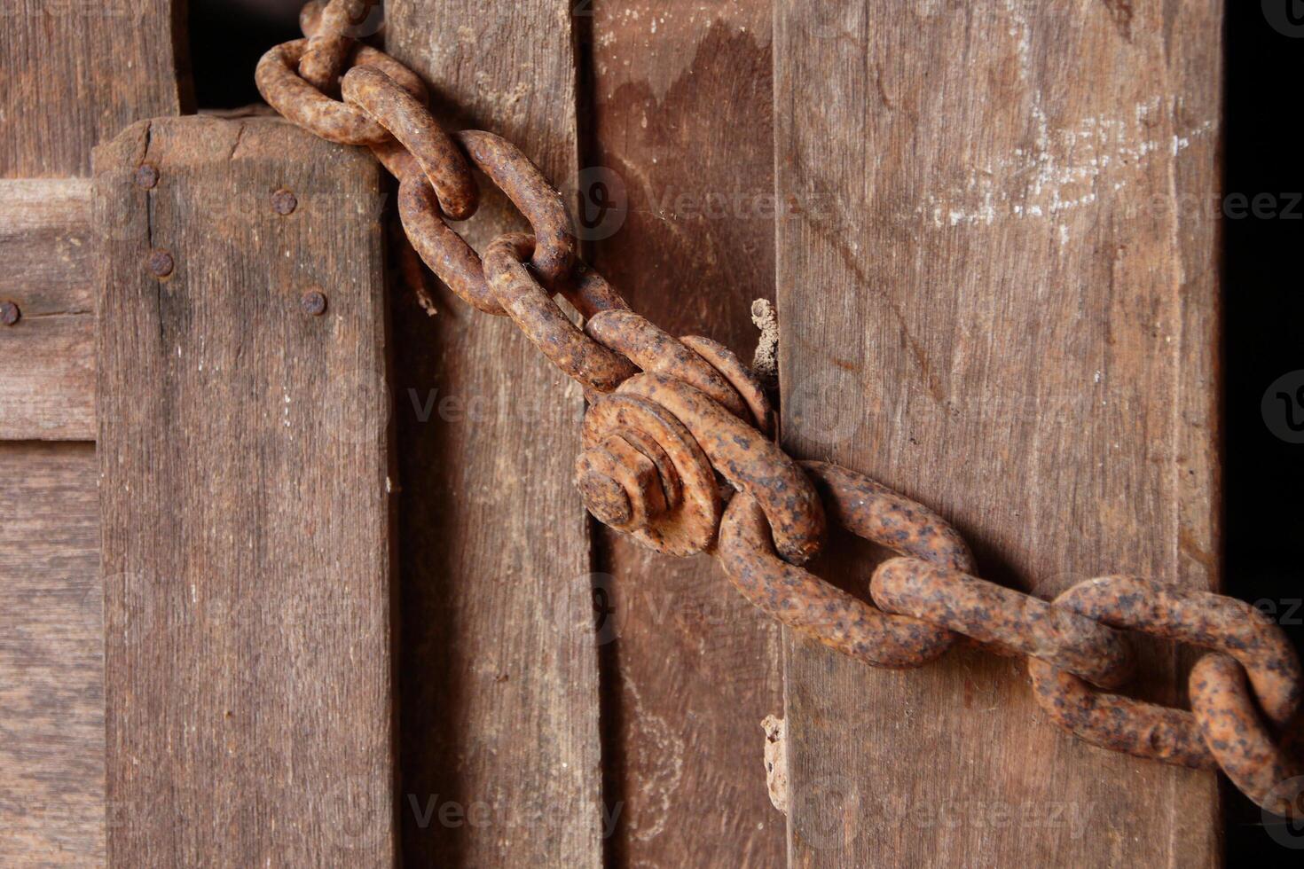 Wooden fence with small grass photo