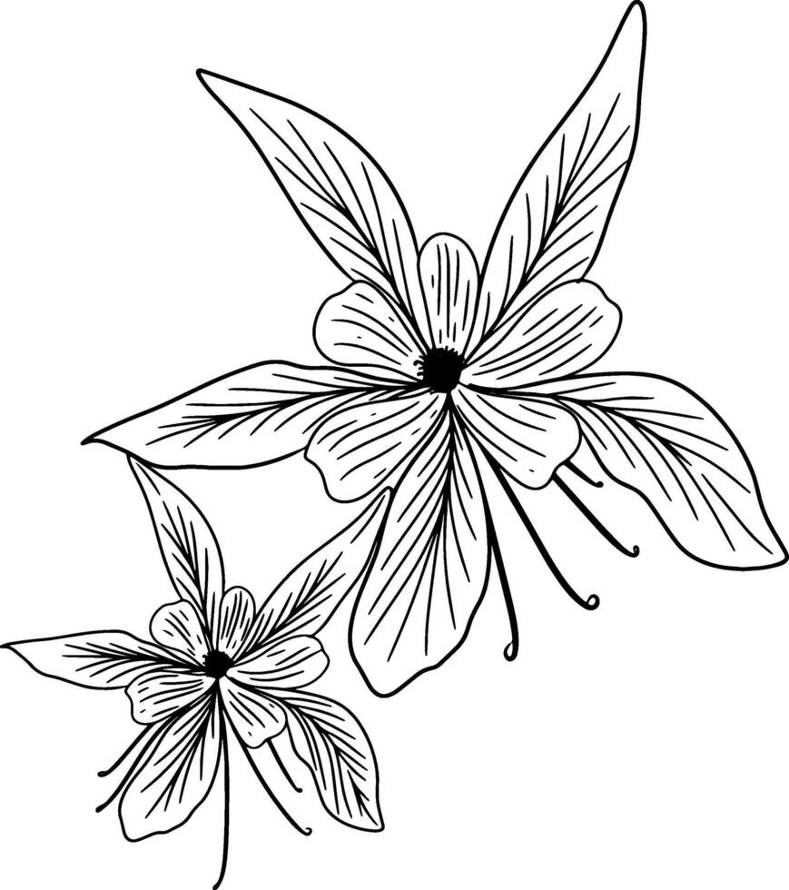 Continuous line drawing of columbine flower with leaves. illustration vector
