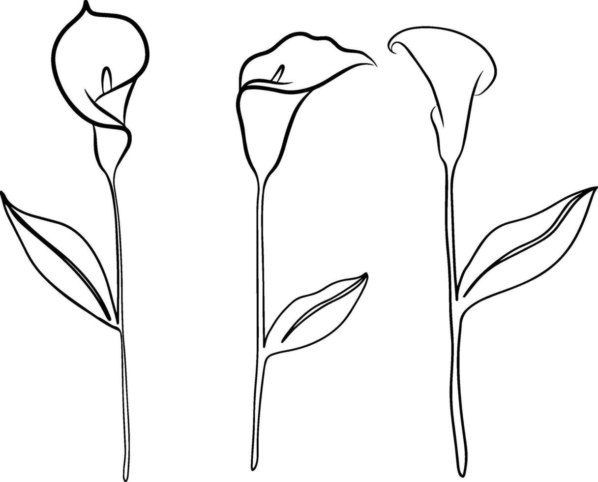 Continuous line drawing of flower with leaves. illustration vector