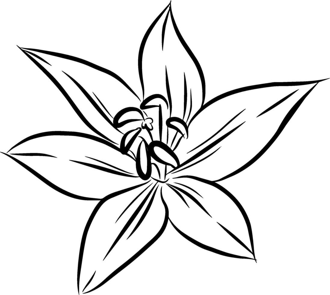 Hand drawing line art flowers flower design graphic illustration vector