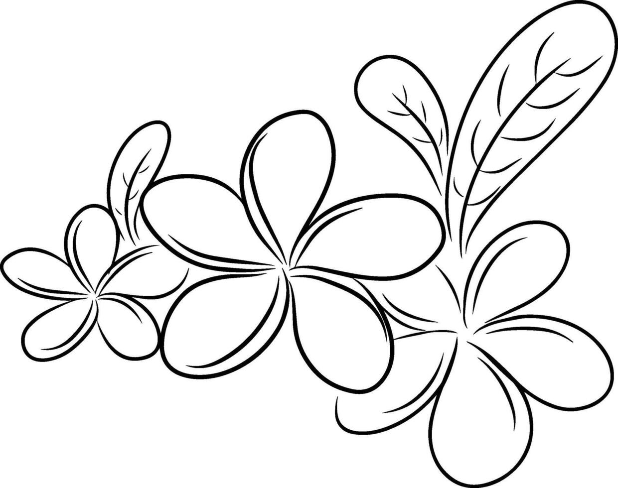 Hand drawing line of frangipani flower design graphic illustration vector