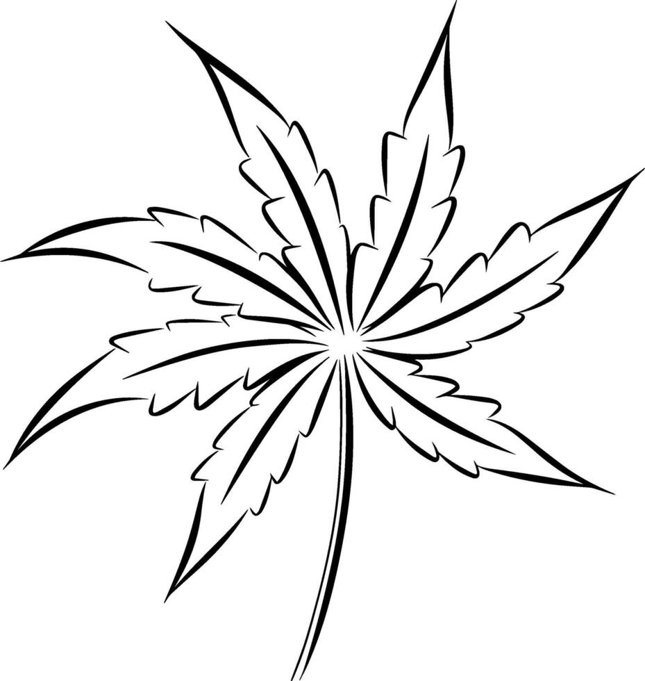 Hand drawn sketch of cannabis leaf. illustration vector