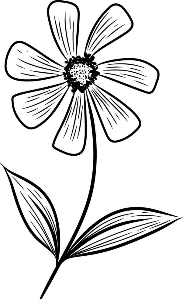 Continuous line drawing of Zinnia flower with leaves. illustration vector
