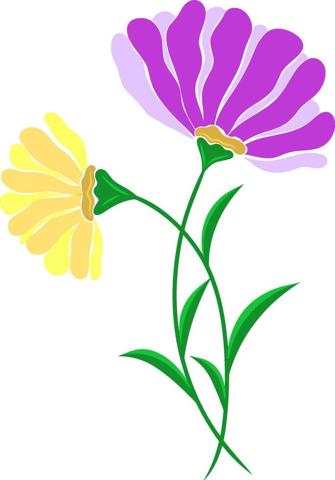 Watercolor painting cosmos flower on transparent background. Hand drawn illustration vector