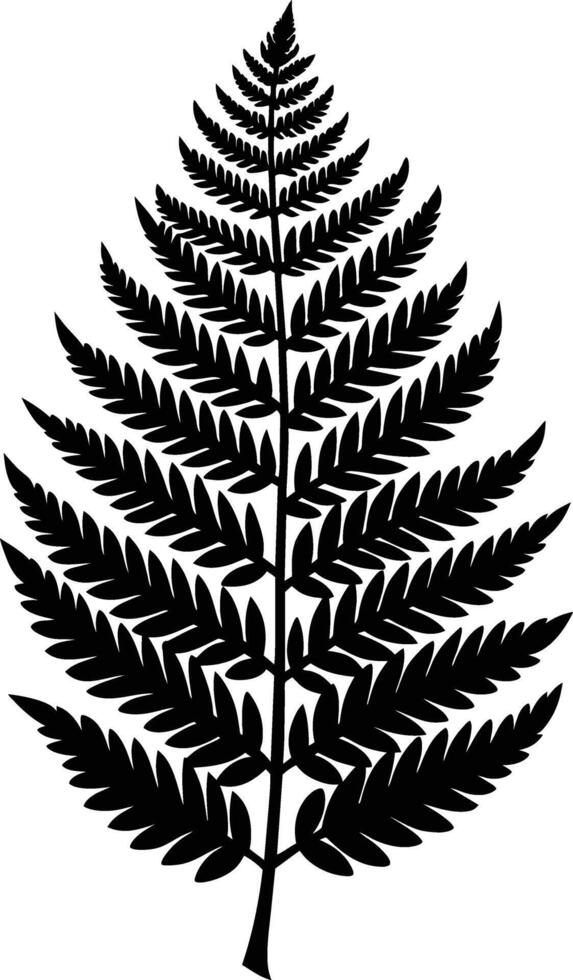 A black and white silhouette of a fern leaf vector