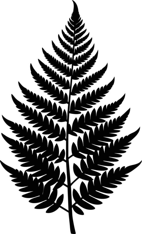 A black and white silhouette of a fern leaf vector