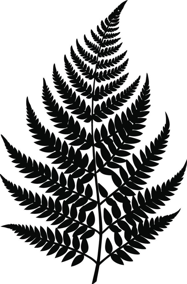 A black and white silhouette of a fern leaf vector