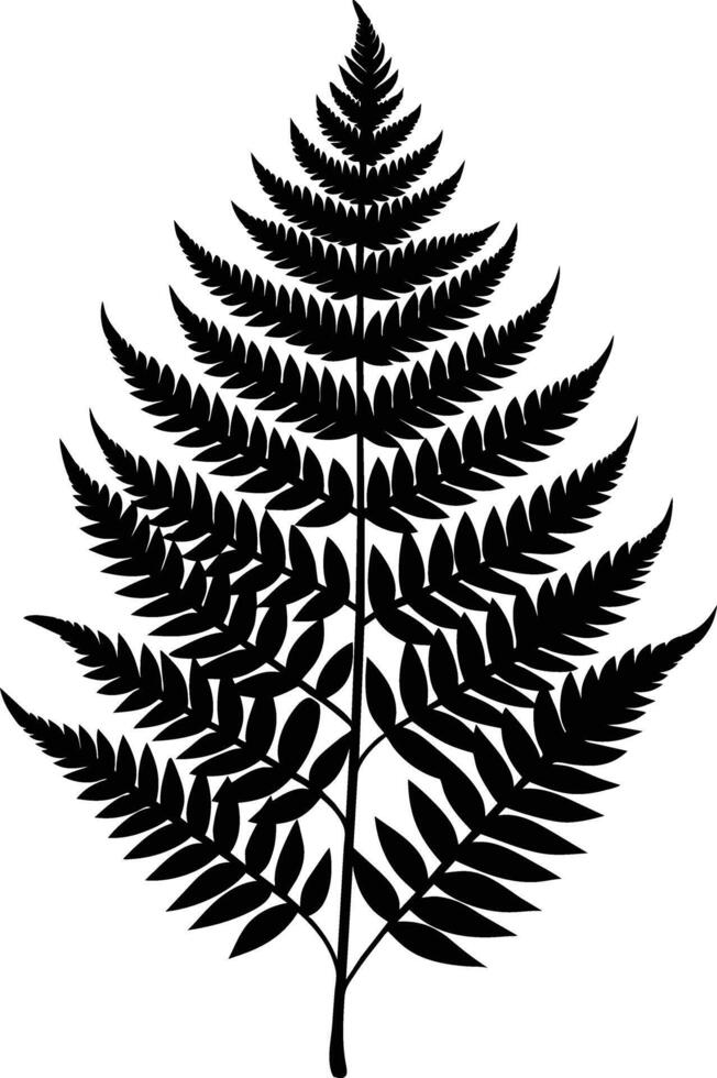 A black and white silhouette of a fern leaf vector